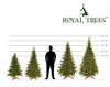 Świerk himalajski, choinka sztuczna PE 240 cm Royal Trees premium drzewko świąteczne jak żywe