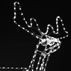 Renifer Led świąteczny z ruchomą głową 115 cm świetlna dekoracja do ogrodu biały zimny
