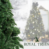 Sztuczna choinka sosna leśna 220 cm jak żywa Royal Trees premium z drewnianym stojakiem
