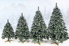 Choinka sztuczna z szyszkami Premium Royal Trees 220 cm sosna diamentowa ośnieżona
