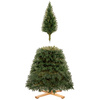 Sosna, choinka sztuczna 240 cm Royal Trees premium drzewko świąteczne jak żywe