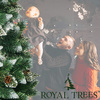 Choinka sztuczna z szyszkami Premium Royal Trees 220 cm sosna diamentowa ośnieżona