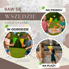 Catch ball - rzuć i złap piłkę, gra zręcznościowa 2 koszyczki z wyrzutnią, 3 piłeczki