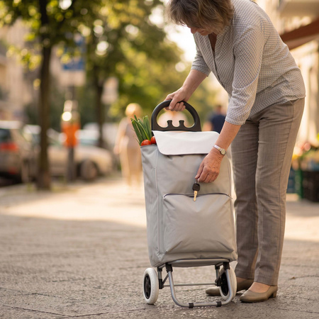 Wózek na zakupy z kieszenią termiczną 46 L walizka, torba transportowa na kółkach, udźwig 30 kg, szary
